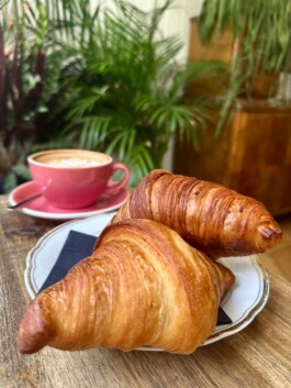 café, brasserie, restaurant, cuisine locale, brasserie, Fribourg, Schweizerhalle, traditionnel, authentique, ambiance chaleureuse